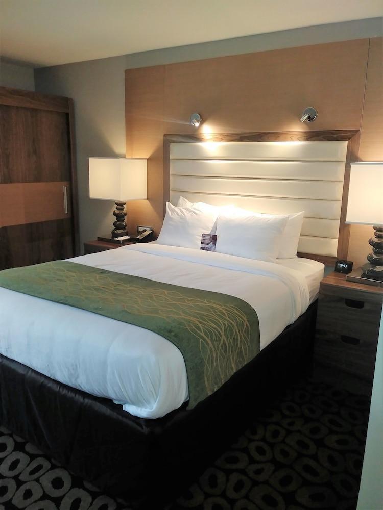 Comfort Inn Raleigh Midtown Εξωτερικό φωτογραφία